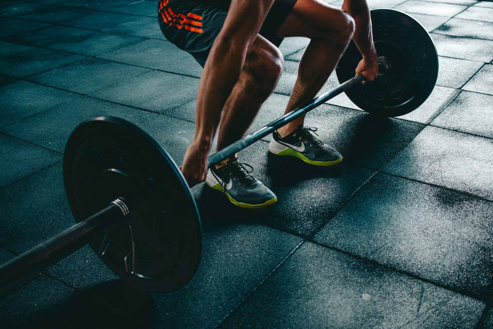 Strength - sức mạnh tạ đòn